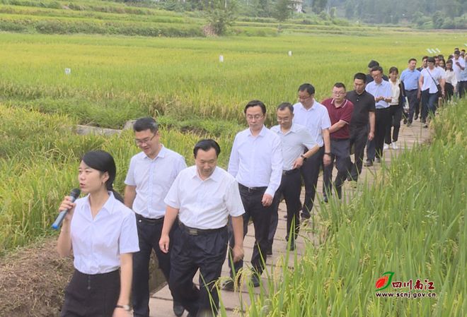 优质粮食工程典型经验交流_粮食工作交流材料_粮食优质工程典型经验发言