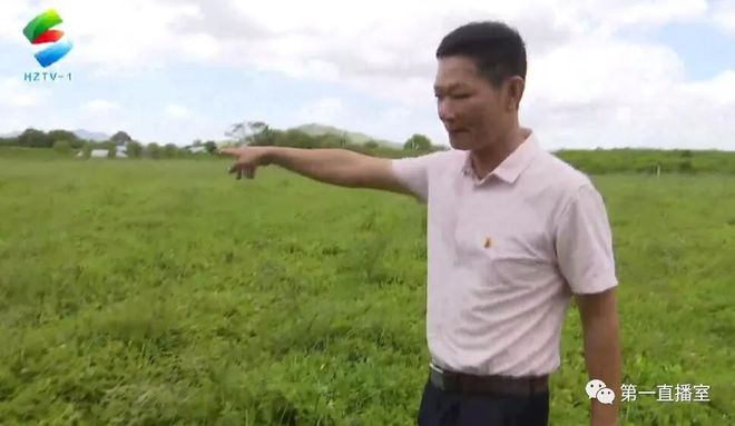 惠阳平潭：村干部带头种植中草药为村民增收