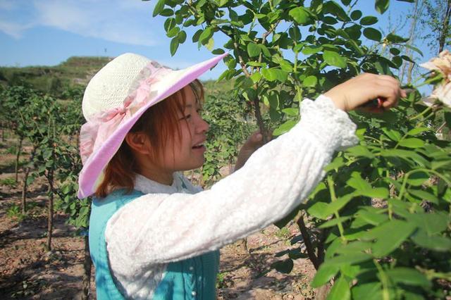 致富饼鲜花在线卖_致富饼鲜花在线卖赚钱吗_致富经在线卖鲜花饼