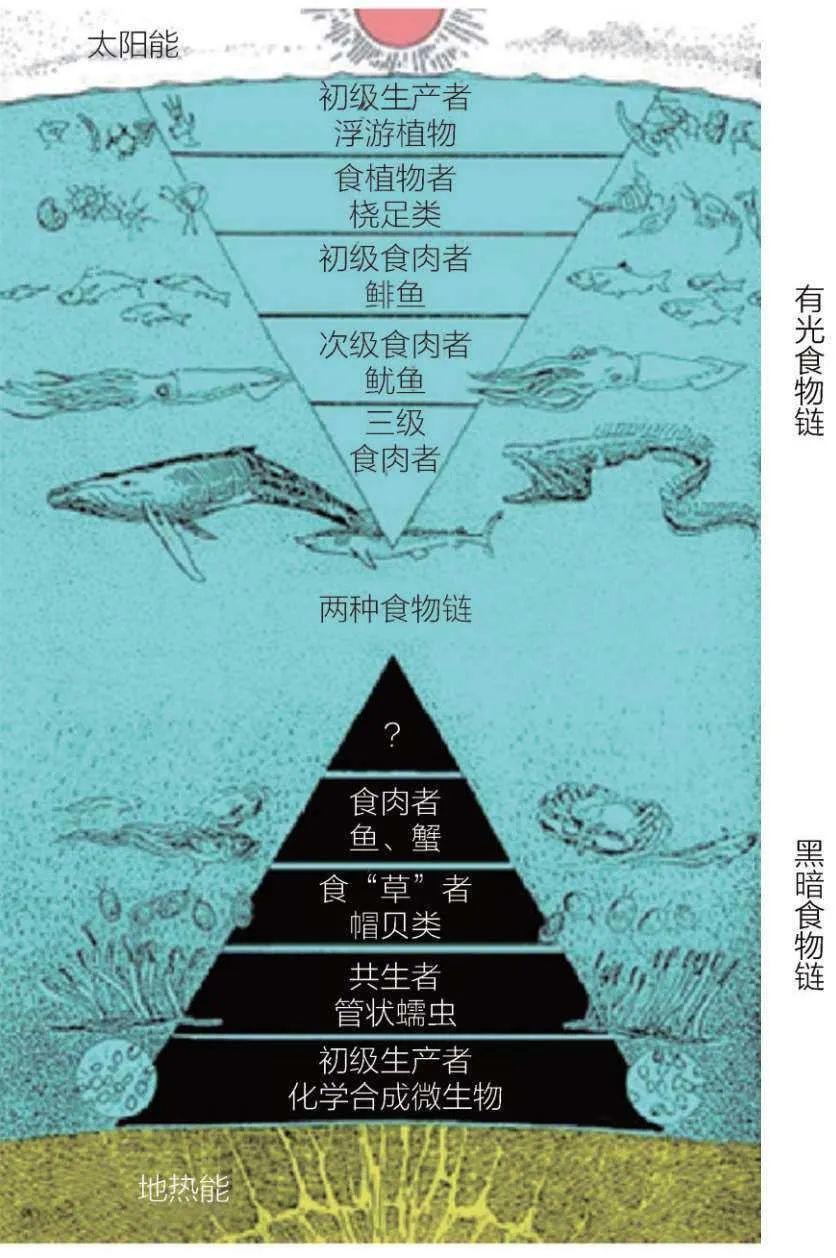 海沟经验心得_海沟经验心得_海沟经验心得