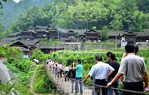 荒山种植致富技巧_荒山种植什么来钱快_荒山种植什么赚钱