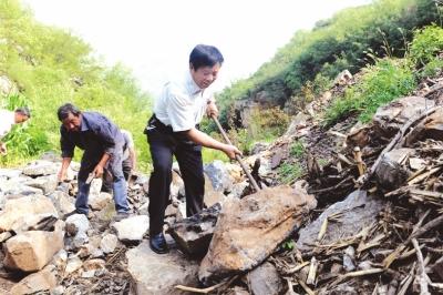 种植园林绿化树种致富_种绿化苗木前景怎么样_致富经绿化苗木种植