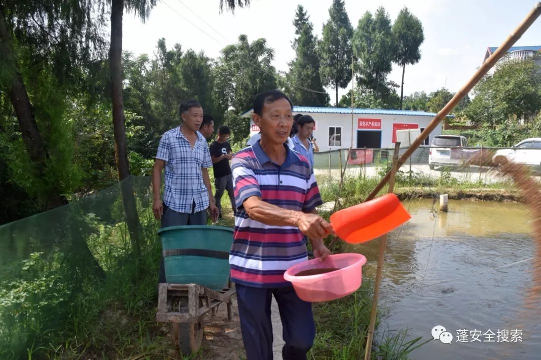 农民勤劳致富药材种植基地_药材种植的致富带头人_药材种植致富项目