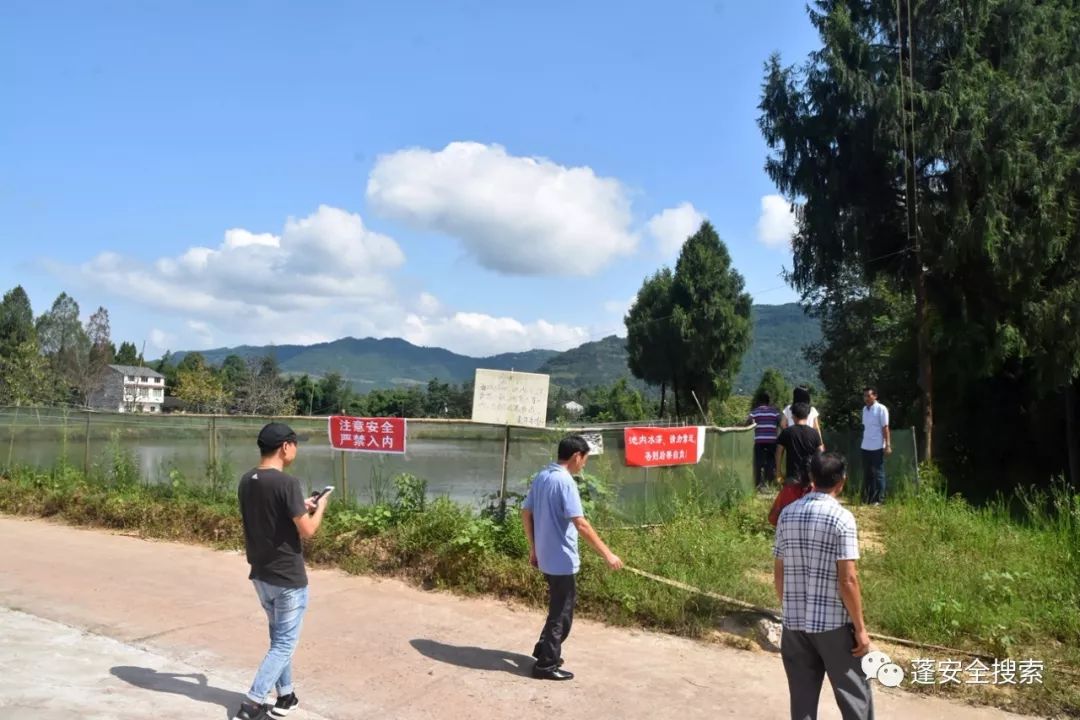 农民勤劳致富药材种植基地_药材种植致富项目_药材种植的致富带头人