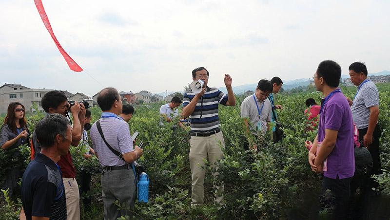 贵州种植致富的人_贵州种植基地_2020贵州种植什么赚钱