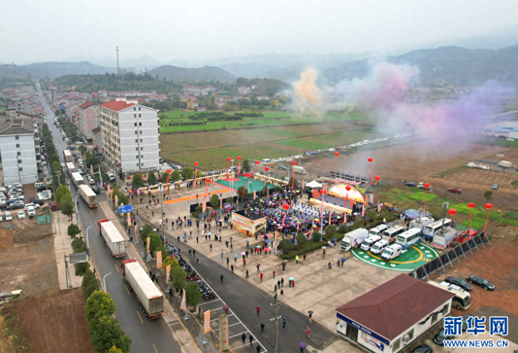 乡村振兴在行动丨湖北南漳：柑橘出深山 群众共致富