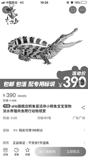 买暹罗鳄当宠物？无证买卖涉违法