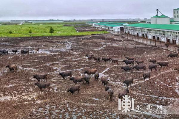 王亮致富经视频_致富经王伟_视频致富经