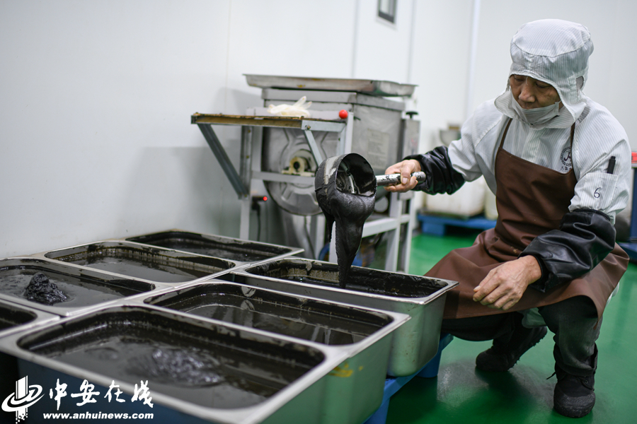 种植黄精致富带头人_种植黄精致富带头人_种植黄精致富带头人