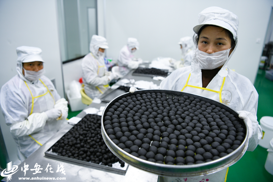 种植黄精致富带头人_种植黄精致富带头人_种植黄精致富带头人