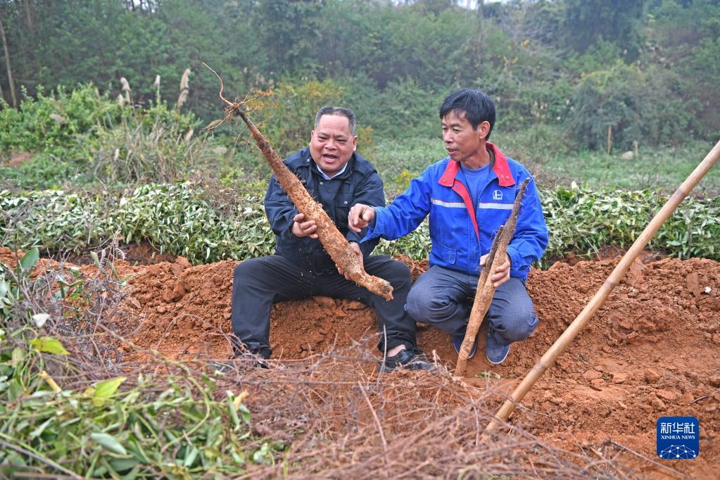 残疾致富养殖广西人有补贴吗_广西残疾人养殖致富_残疾人养殖团队