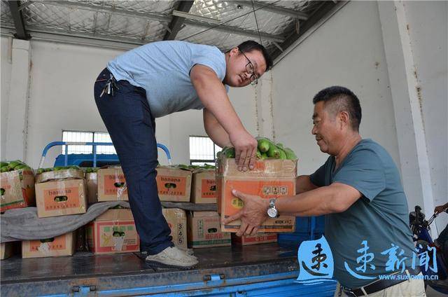 大棚丝瓜高产栽培技术_种植大棚丝瓜顶尖技术_大棚香丝瓜致富经