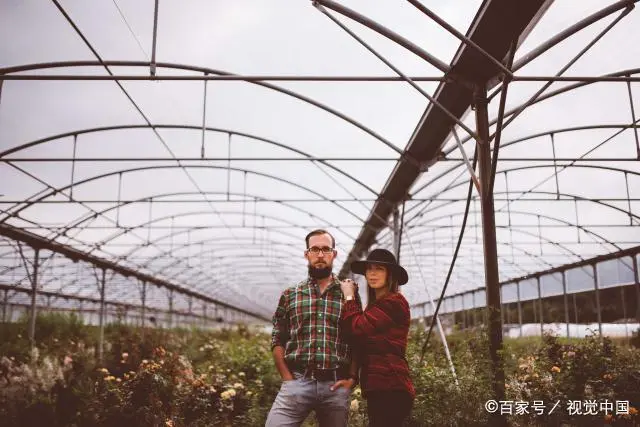 如何种植罗卜才高产量_如何种植罗卜_罗卜怎么种植技术