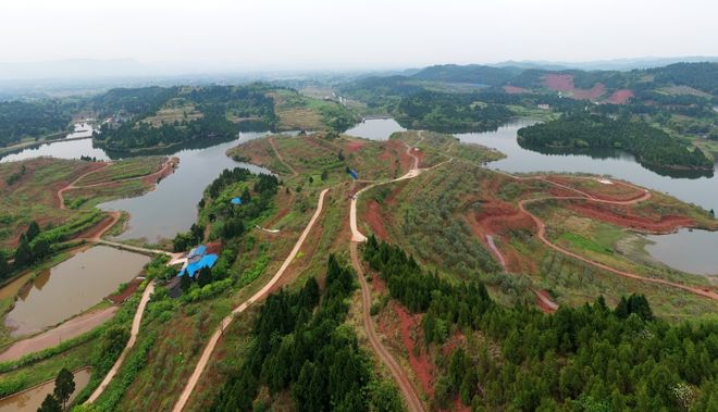 致富经胡桂清橄榄油_橄榄合铁核与油核鉴别_致富经橄榄油