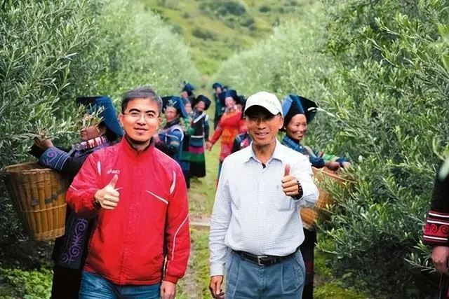 致富经胡桂清橄榄油_悦诗风吟橄榄高保湿的油不油_坐月子胡麻油是胡油吗