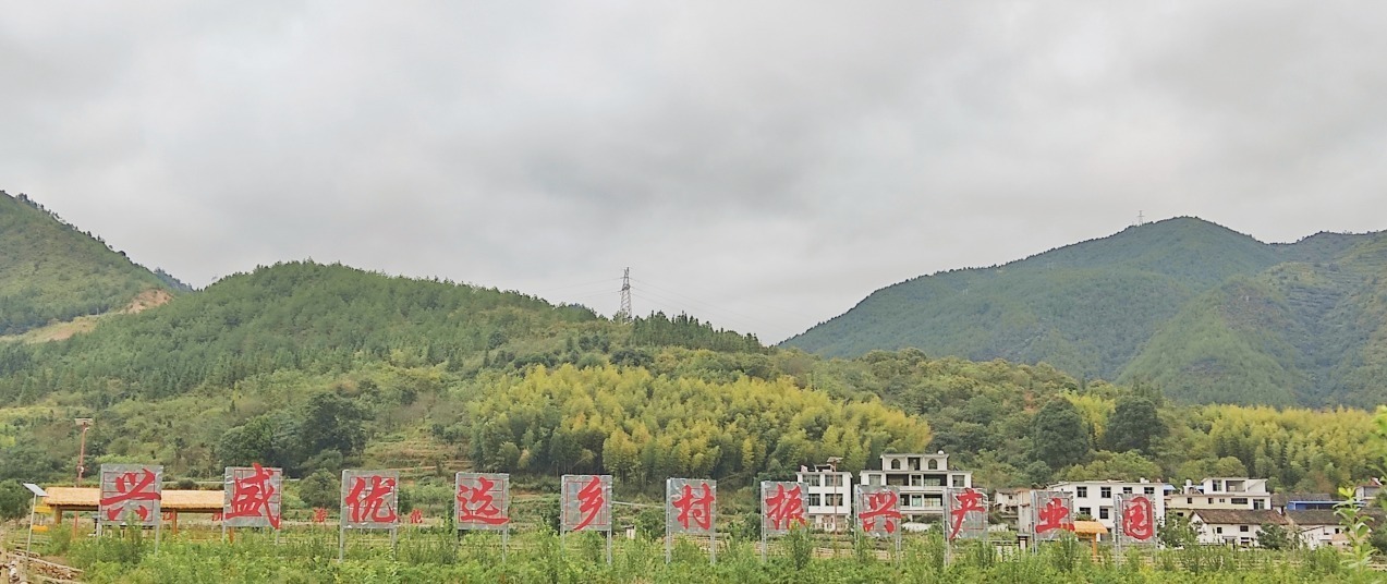 种植扁豆致富_致富种植扁豆图片_种植扁豆的方法