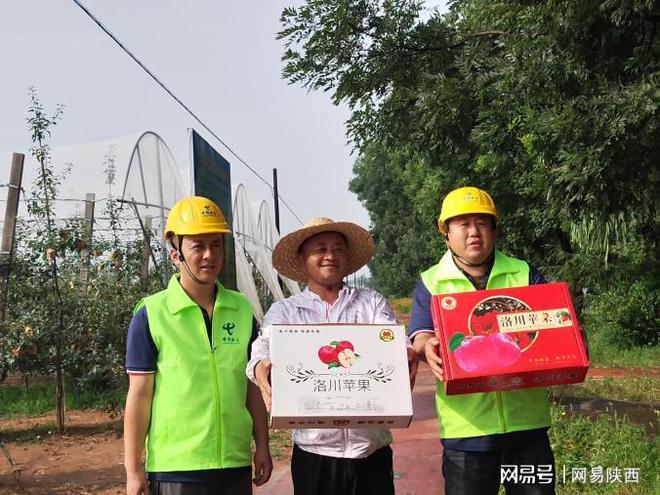 陕西种植苹果可持续发展措施_陕西种植苹果的优势自然条件_陕西种植苹果致富