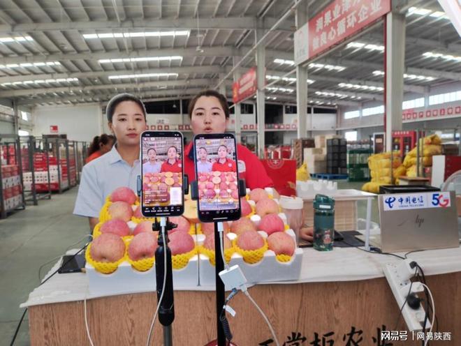 陕西种植苹果的优势自然条件_陕西种植苹果可持续发展措施_陕西种植苹果致富