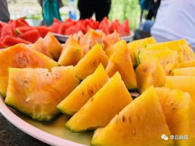 芹菜夏季种植_夏天芹菜的种植技术_芹菜夏天种植技术视频