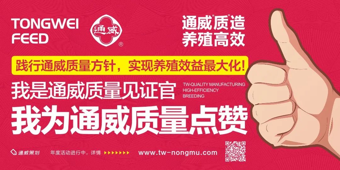 亩赚40万元 ！牛蛙冲上20元/斤历史高价，“暴富蛙”又引爆行业！