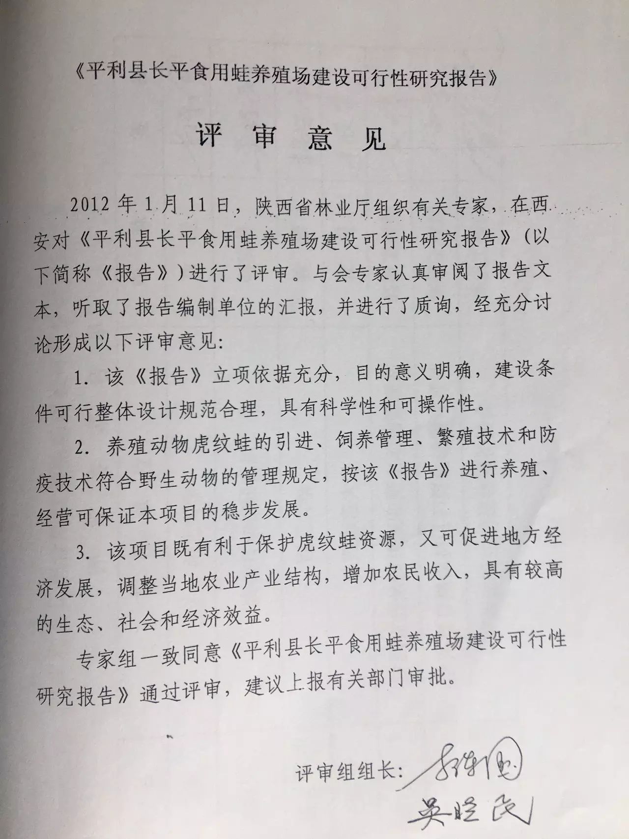 致富养殖牛蛙视频_致富经牛蛙养殖_致富养殖牛蛙图片