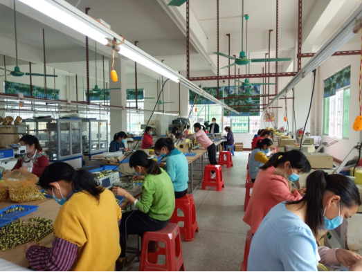 广东养猪大户_广东猪养殖致富_2020年广东养猪基地在哪里