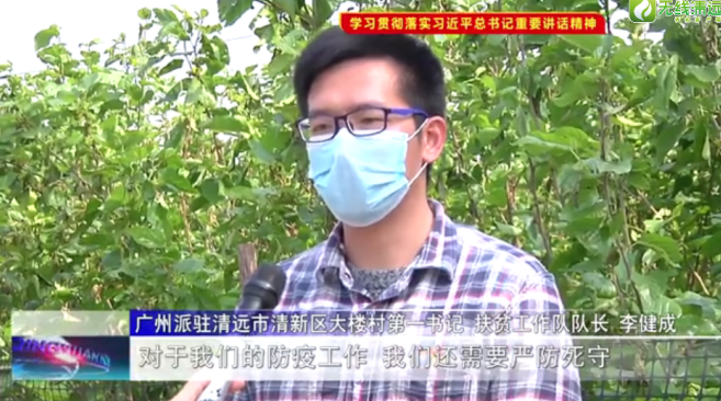 广东猪养殖致富_广东养猪大户_2020年广东养猪基地在哪里