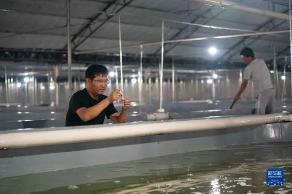 致富养殖项目_致富养殖水产信息怎么写_水产养殖致富信息