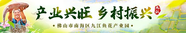 掌舵3千万级水产企业！佛山这位“网红”养鱼致富奔小康