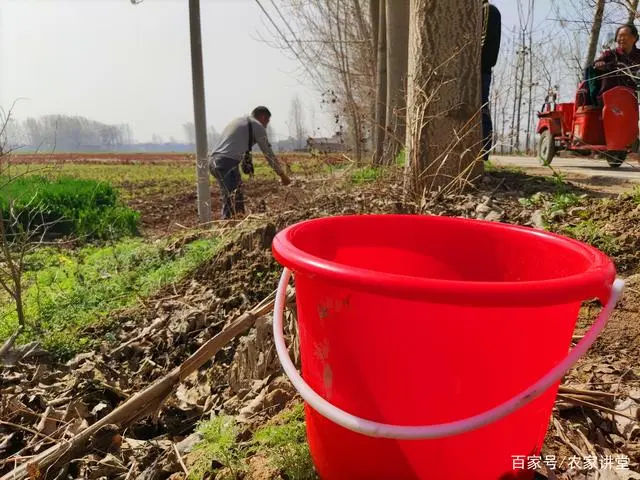 致富经菌菇种植_种植珍稀菇致富_珍稀蘑菇品种大全