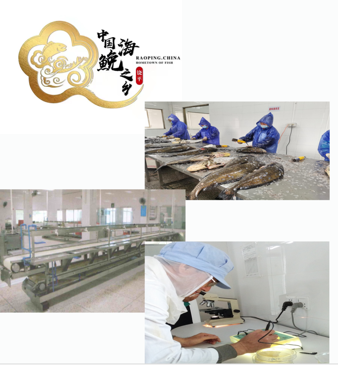 水产养殖业致富项目_水产养殖致富信息_致富经水产养殖