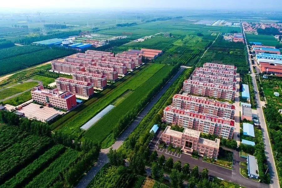 致富经大姜视频_2020致富经视频_致富小视频