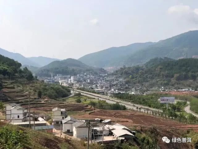 致富茶叶种植方法_茶叶怎么种植致富_致富茶叶种植技术视频