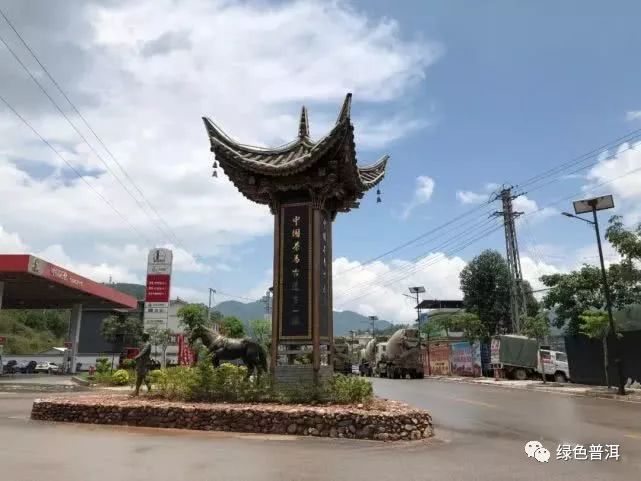 致富茶叶种植技术视频_致富茶叶种植方法_茶叶怎么种植致富