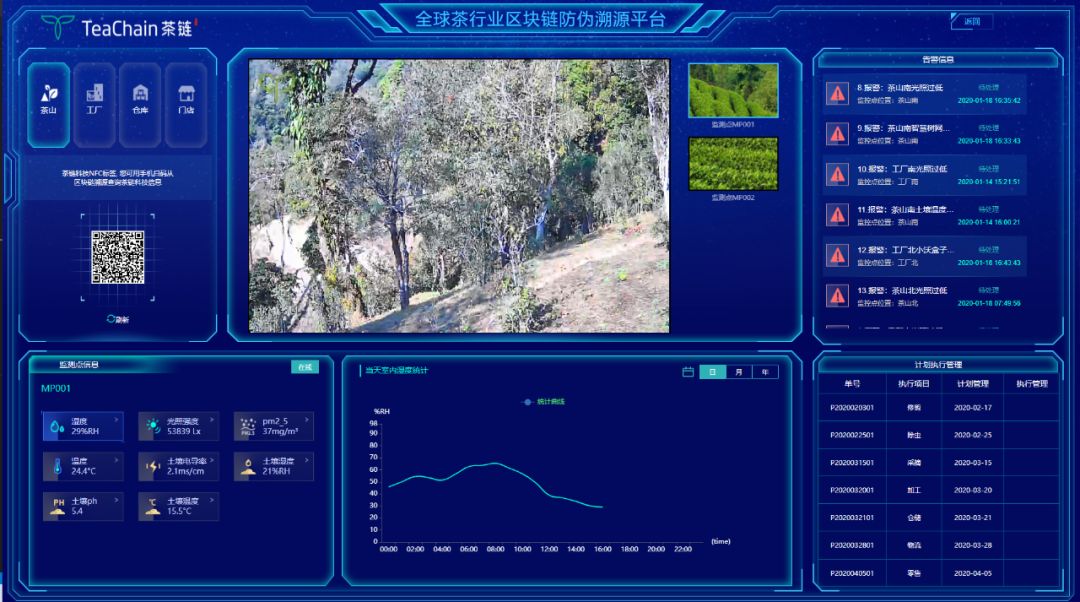 致富茶叶种植技术视频_茶叶怎么种植致富_茶叶致富经