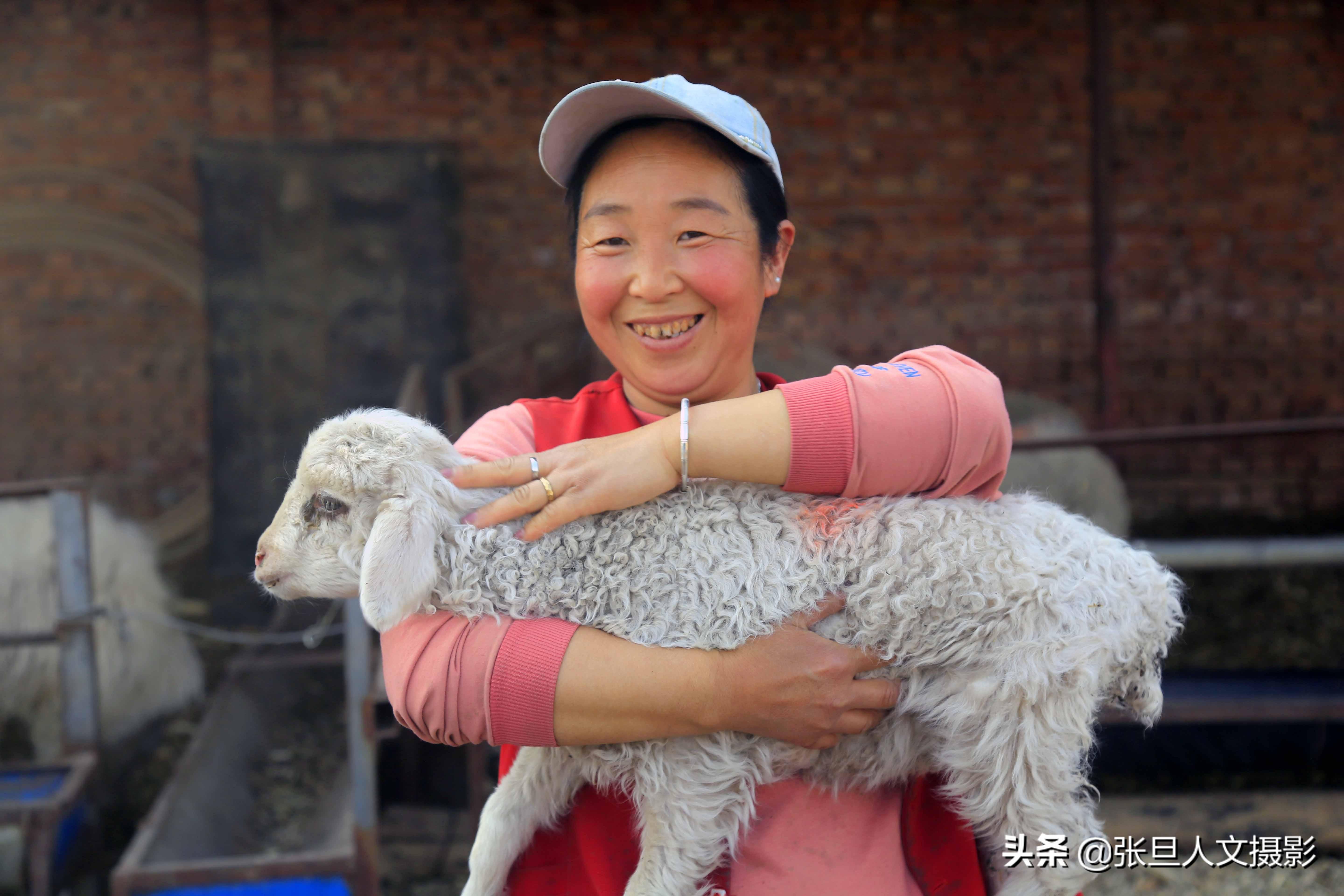 致富经养山羊视频全集_致富三农视频养鱼_致富经养羊视频全集有三宝