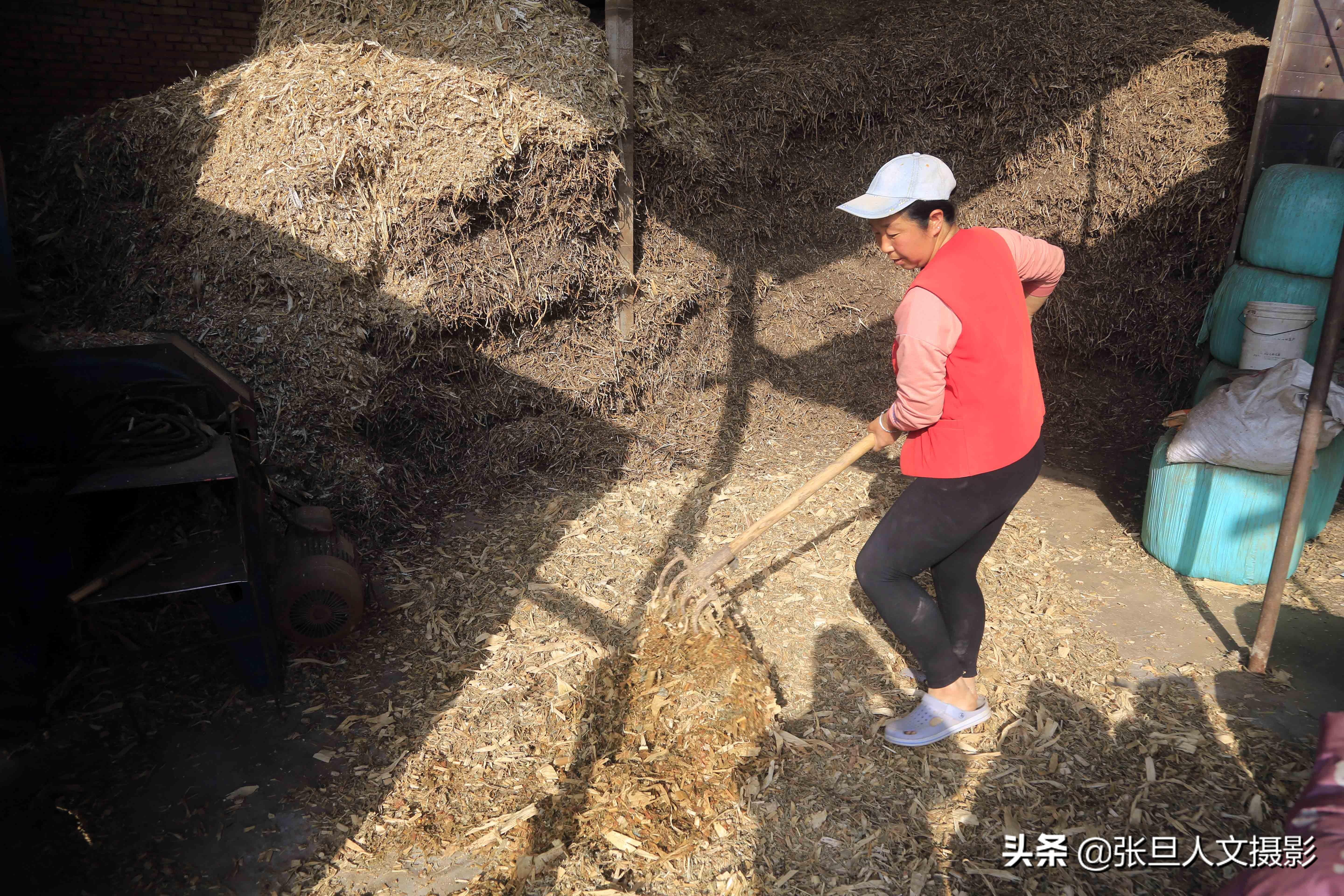 致富三农视频养鱼_致富经养羊视频全集有三宝_致富经养山羊视频全集