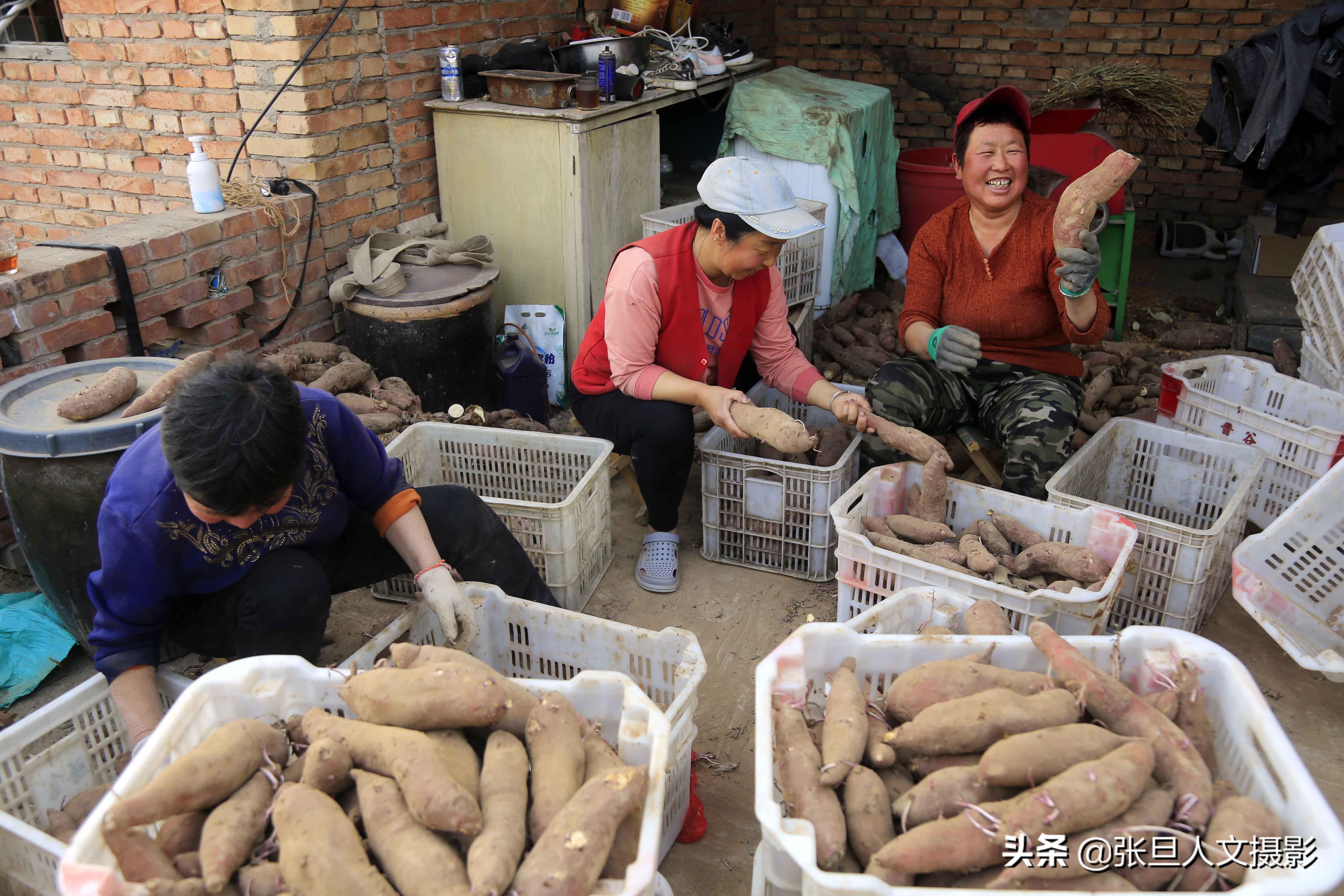 致富经养山羊视频全集_致富经养羊视频全集有三宝_致富三农视频养鱼