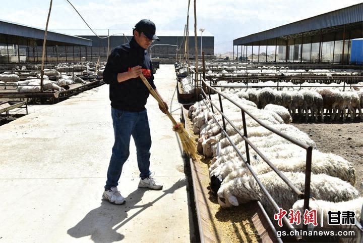 致富经养羊视频全集_致富经养羊视频全集有三宝_致富经养山羊视频全集