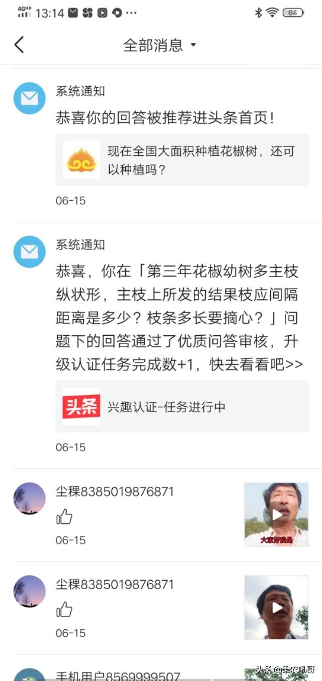 巧过三农领域的四条优质问答