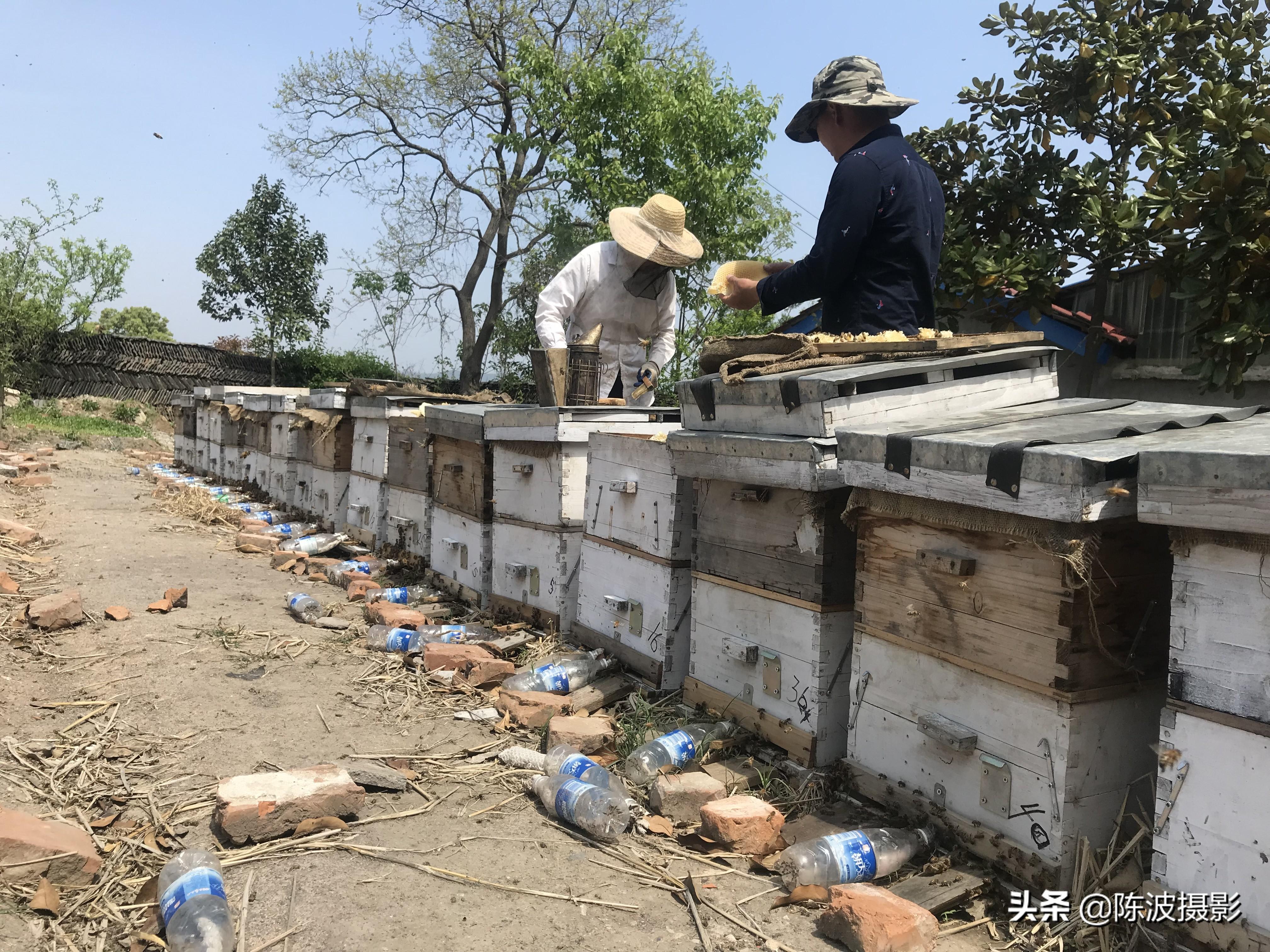 致富经电话_致富经陈斌_致富经陈波联系方式