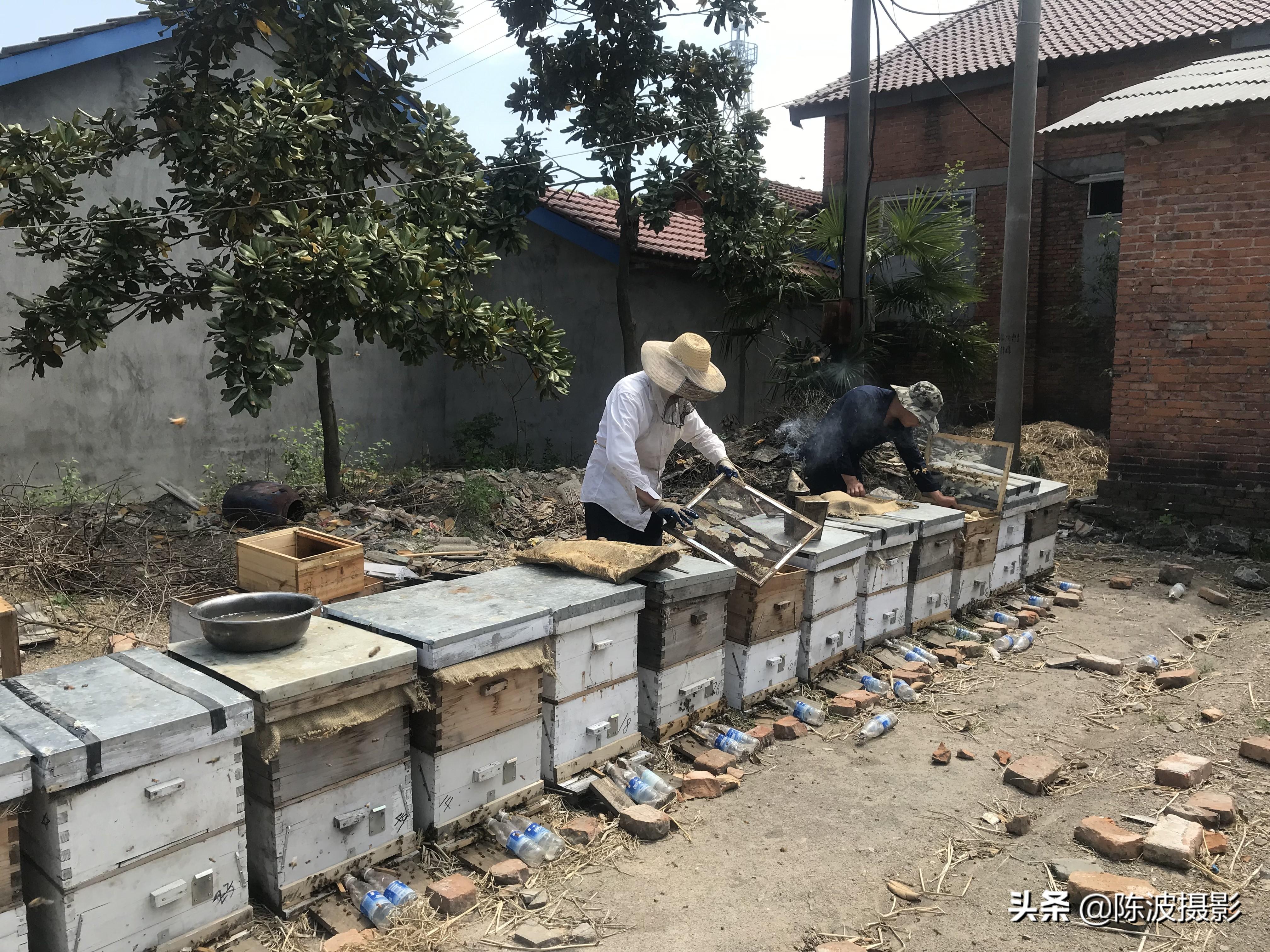 致富经电话_致富经陈斌_致富经陈波联系方式