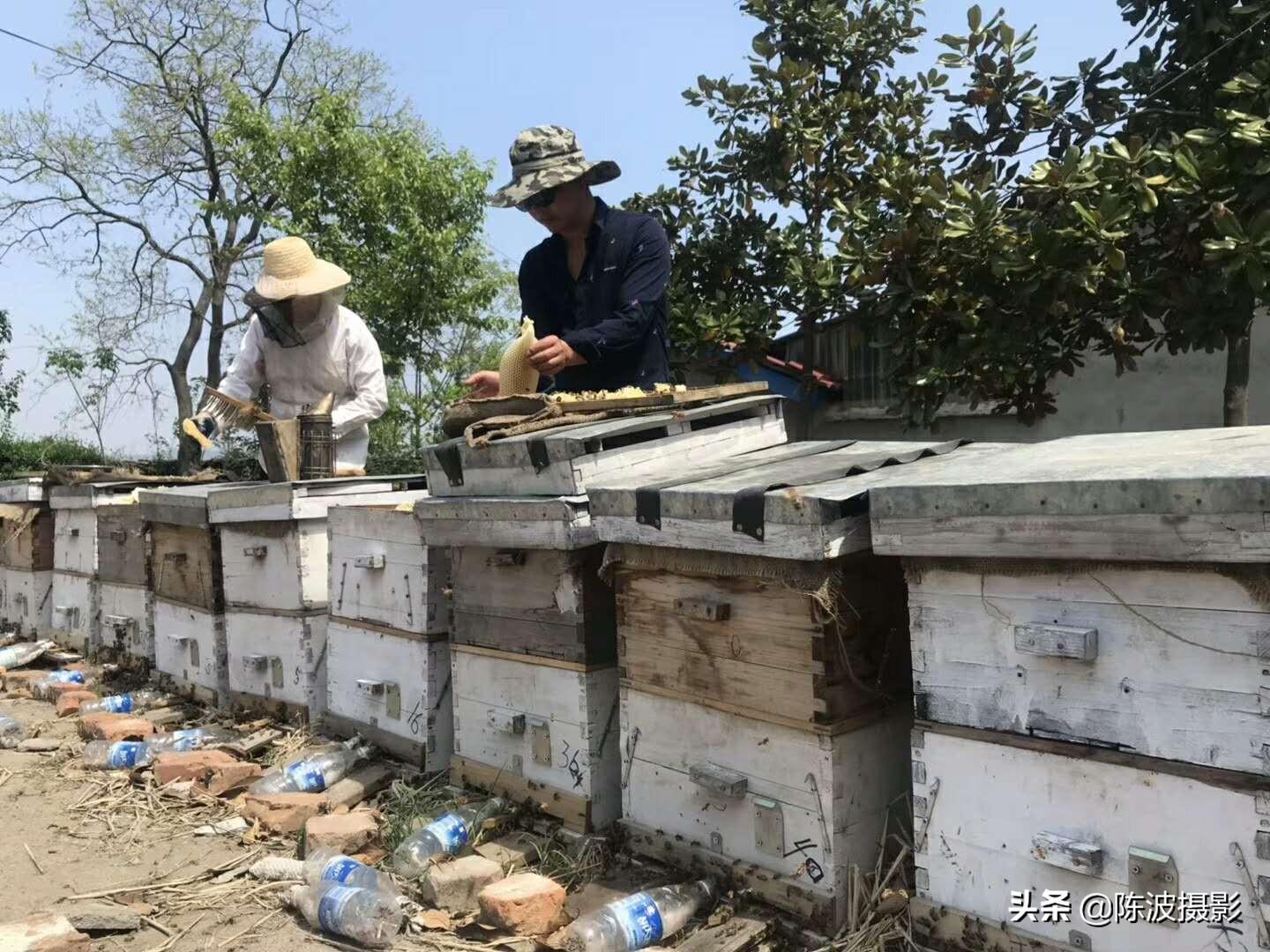 致富经陈波联系方式_致富经电话_致富经陈斌