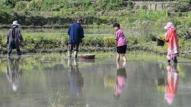 致富新闻网_最新种植致富新闻_新闻致富种植最新消息