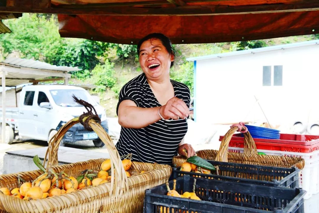 金果种植致富项目_金果种植育苗总基地_致富果树