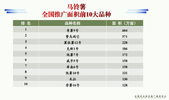 我校马铃薯育种团队育成品种“青薯9号”荣登2022年度全国马铃薯推广面积榜首