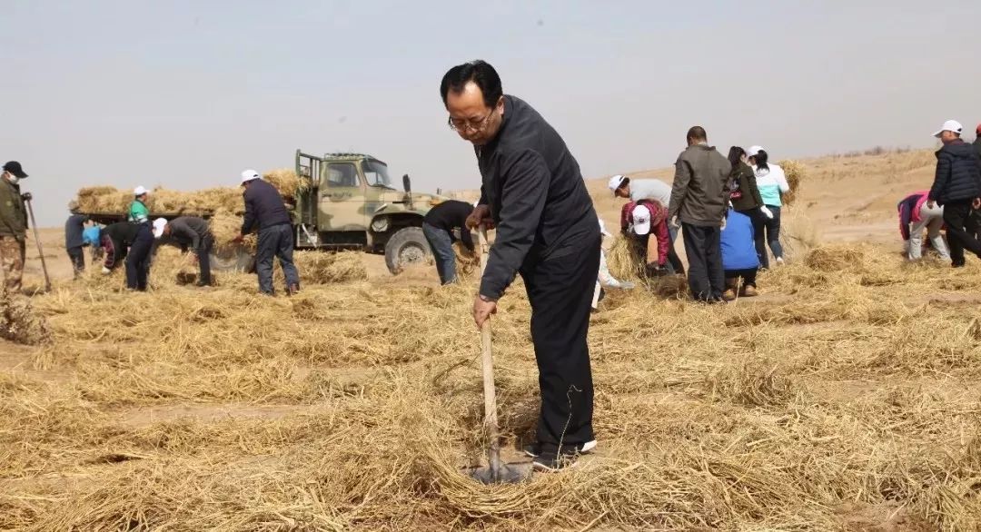 兔鼠的养殖技术_养殖兔鼠技术视频教程_鼠兔养殖