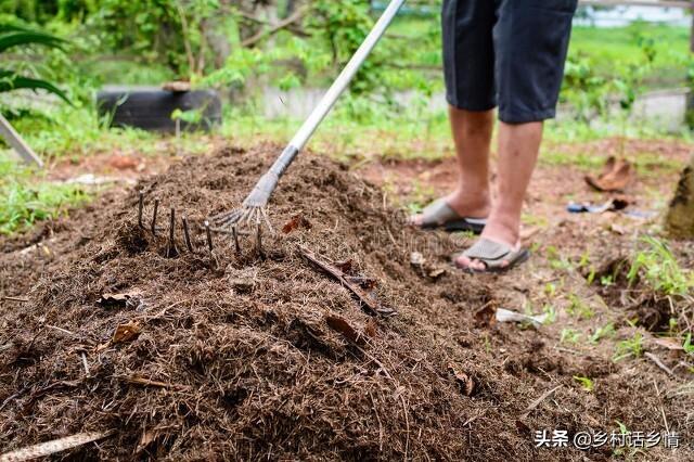 蔬菜种植需要哪些工具_蔬菜种植采用技术可以生长吗_种植蔬菜可以采用哪些技术