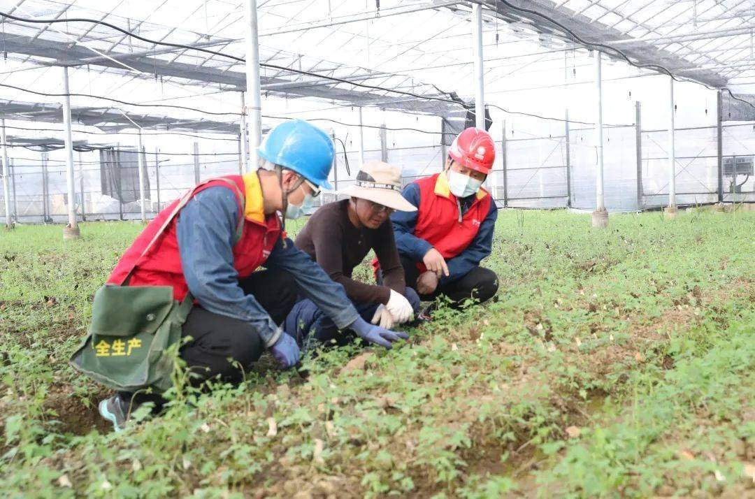 蒙城县家庭养殖农场_蒙城养殖场_蒙城养殖致富