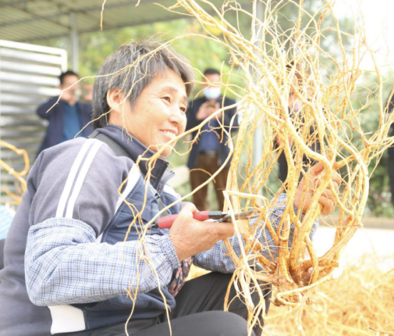 致富养殖对虾项目有哪些_对虾养殖致富项目_养殖对虾赚钱吗